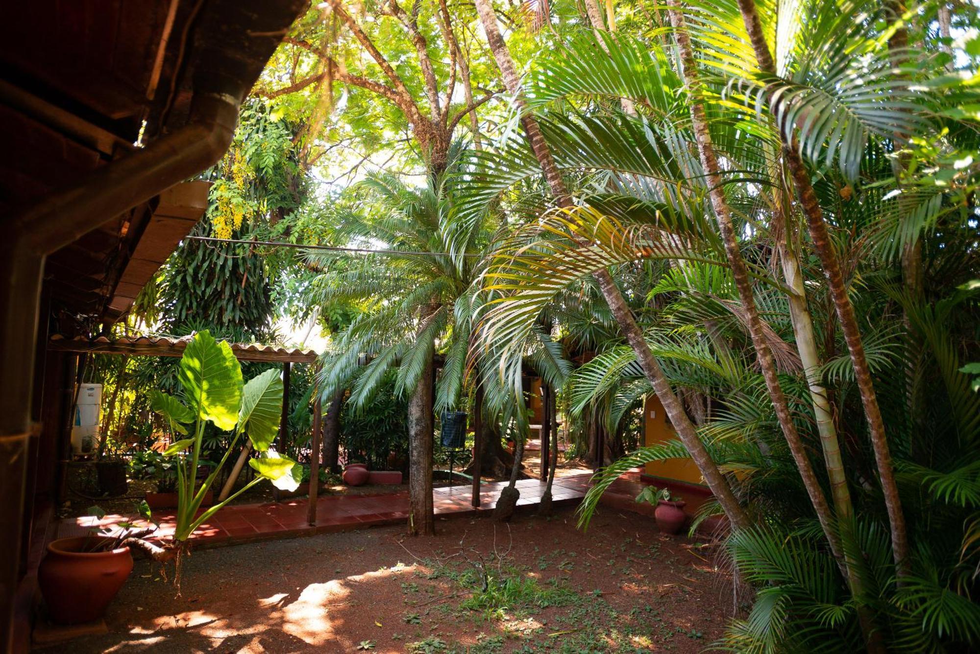 Hosteria Los Helechos Puerto Iguazú Exterior foto